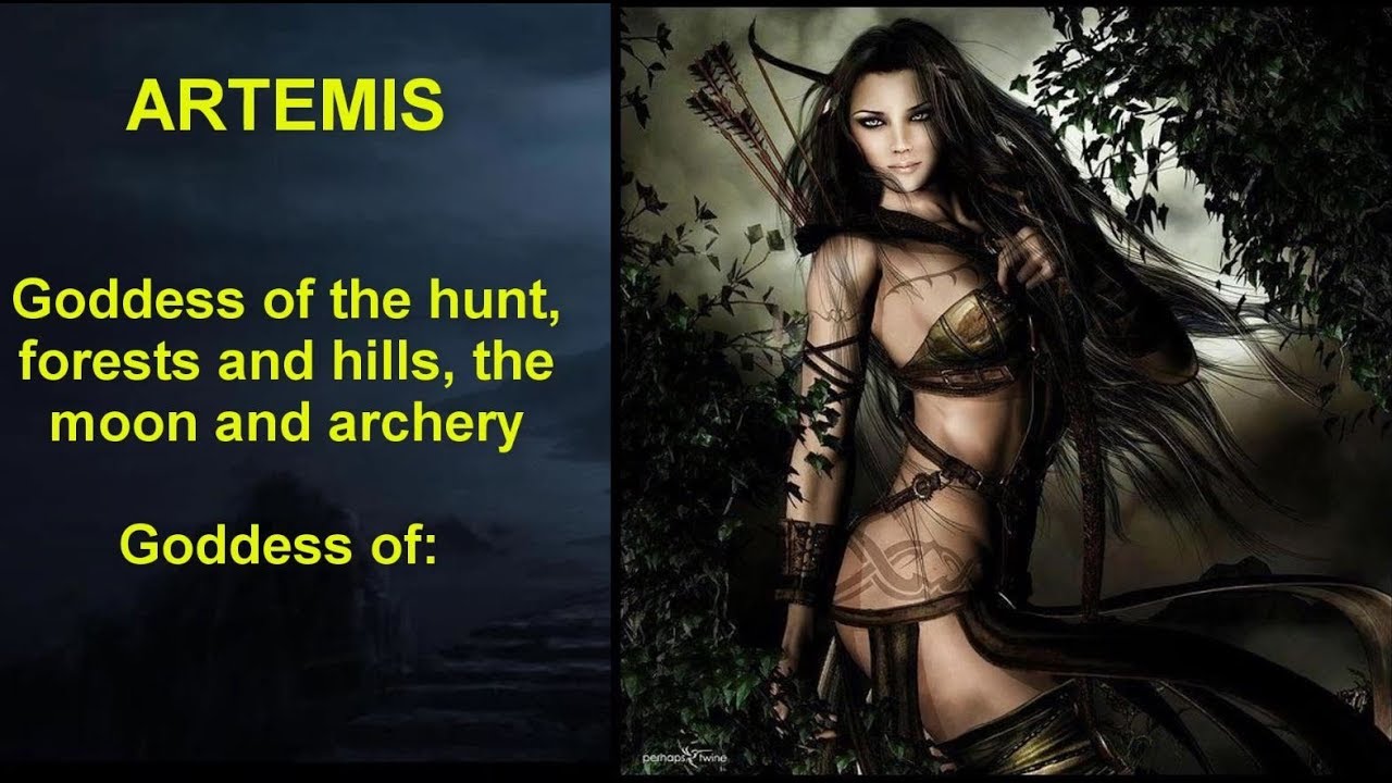 The 12 Gods of Olympus (plus 2)