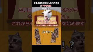 学年全員を敵に回した奴らの話 #猫マニ #猫ミーム