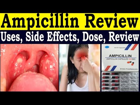 Syntholicin Ampicillin Injection 1gm, 1000 mg