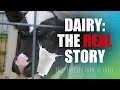 The REAL Story Of Dairy Factory Farm To Table