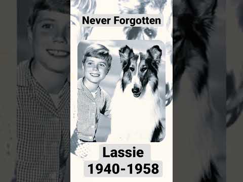 Lassie