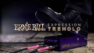 Ernie Ball Expression Tremolo Demo with Blues Saraceno