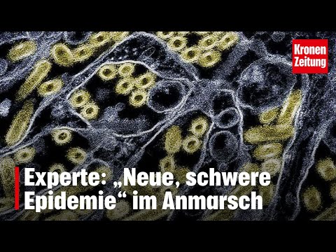Viruskombination: Experte: „Neue, schwere Epidemie“ im Anmarsch | krone.tv NEWS