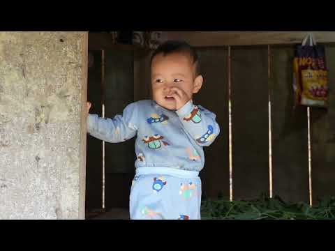 Single Mother Processing Dried Fish & Building a New Chicken Coop with Her Baby