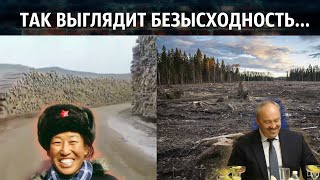 Запрет на вылов рыбы в хабаровском крае