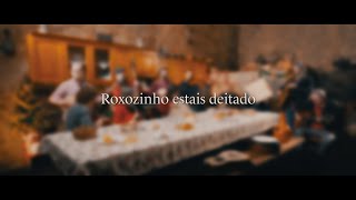 Musik-Video-Miniaturansicht zu Roxozinho estais deitado Songtext von Christmas Carols