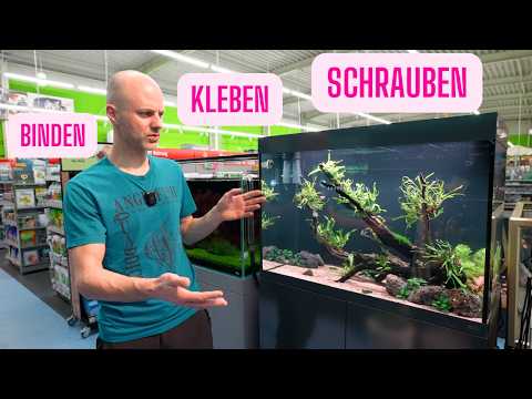 Unsere 3 TOP Einrichtungstipps! - Aquariengestaltung leicht gemacht