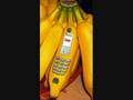 Bannana Phone Song