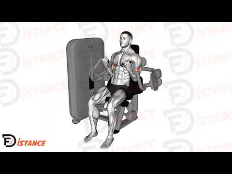 Exercice Curl biceps à la machine guidée