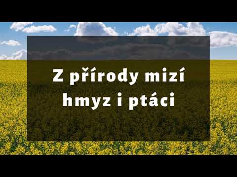 Petice Za českou krajinu bez řepky