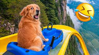 Funniest Animal Videos 2026 😂 Just When You Think You’ve Seen Everythi