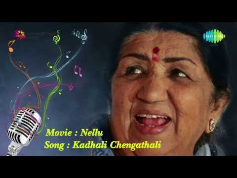 Kadhali Chengathali song | Nellu