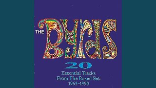 Mr. Spaceman (1990 remix)