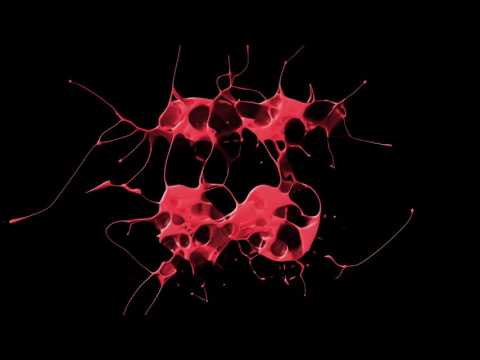 Omar Cito Perez - House Music (Cito's Instrumental Original Mix)