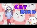 Batatinha-Galactica jogando Cat Bird