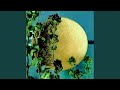 The Garden Of Lonely Seeds