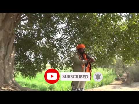 Safdar Jogi Ka Khobsorat Been Song|Tan Tu Pe Varoo Man Tu Pe Varoo / / Naag Jogi And Punjab Rang