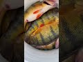 Video Thumbnail for Bucket Of Jumbo Perch