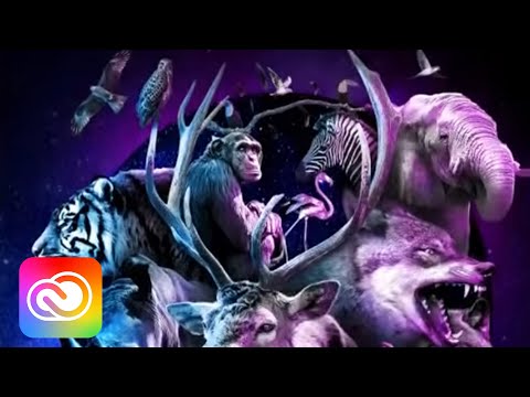 New Show with Paul Trani - Episode 7 | Adobe Creative Cloud