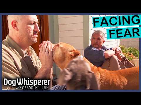 Family Man's Life-Long Fear After Dog Attack | S4 Ep 25 | Dog Whisperer With Cesar Millan