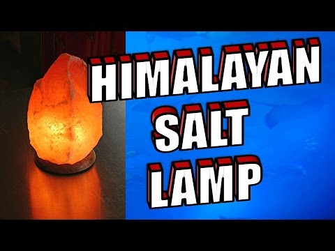 himalayan salt lamps benefits - Free Music Downloads