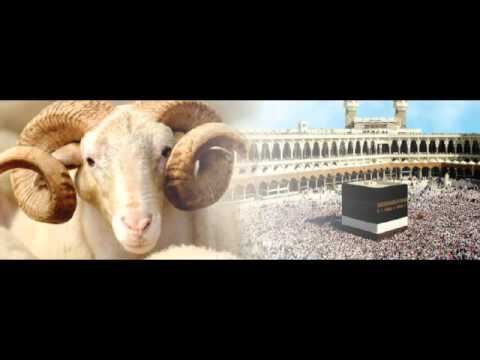 Rregullat e Kurbanit | Xhamia e Lushnjës