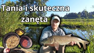 Jak łowić brzany i wielkie klenie ? Tania i skuteczna zanęta!