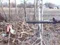 Sks Yugo Muzzle Break