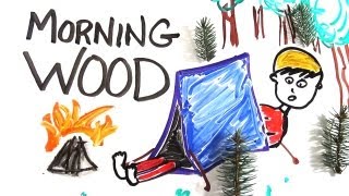 The Science of &#39;Morning Wood&#39;