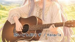 りずの弾き語り  酔いどれ知らず / Kanaria  #弾き語り #ギター #cover 