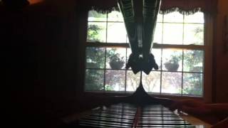 Opus 38 Dustin O'Halloran cover