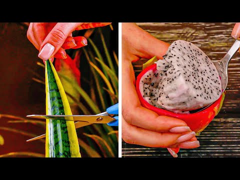 Deine Wohnung gleicht einem Dschungel? Dann musst du diese 10 Pflanzen-Hacks kennen!