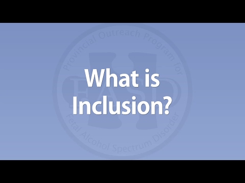 Shelley Moore - What is Inclusion?
