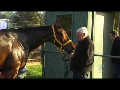 Brown experiences Cox Plate pressure