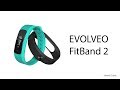 Chytrý náramek Evolveo FitBand B2