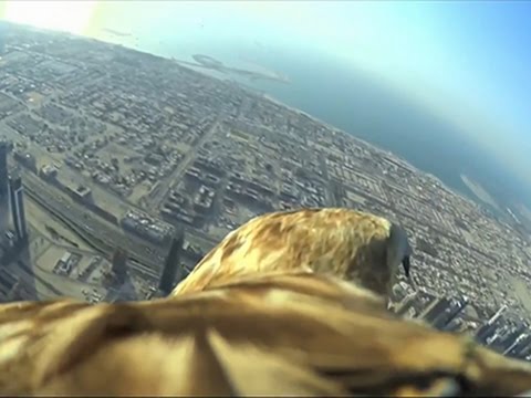 Raw: Bird's-eye View of Dubai Sets New Record