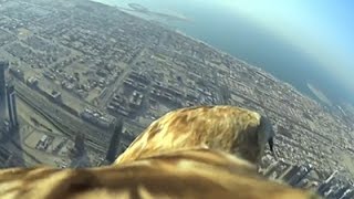Amazing "birds eye" view