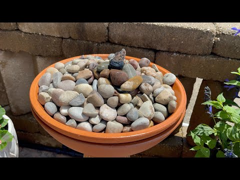 DIY Solar Bird Bath Fountain Build & Review | Poposoap Solar Pump Unboxed!