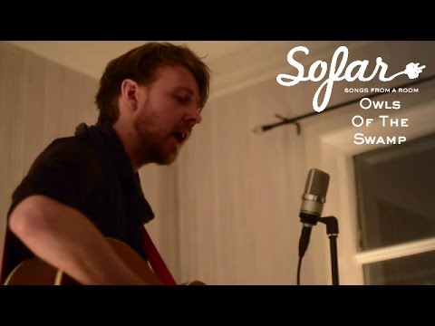 Owls of the Swamp - The Fall | Sofar Reykjavík