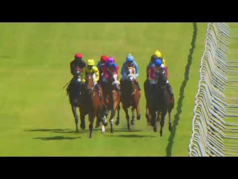 2023.01.07 Paddock Stakes (RSA) - Make It Snappy