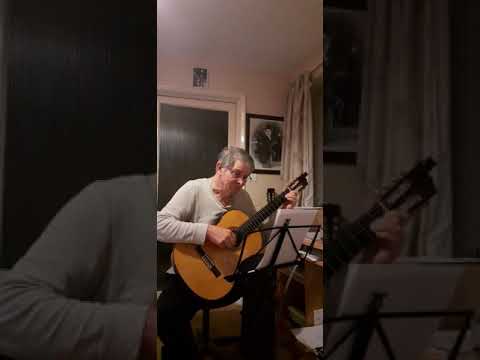 "chervona ruta"(red flower),by Vladimir ivasyuk.