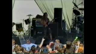 Allegiance    Live At The Big Day Out 1993