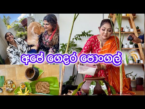 පොංගල් සමරන්න හේතුව | අපි දෙන්නාගේ තල තයි පොංගල් 🌾❤️ Anjali Rajkumar Vlogs 