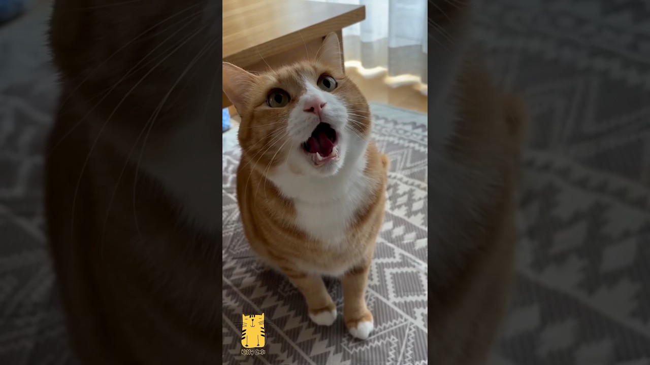 Spróbować się odnaleźć... zawsze warto;)