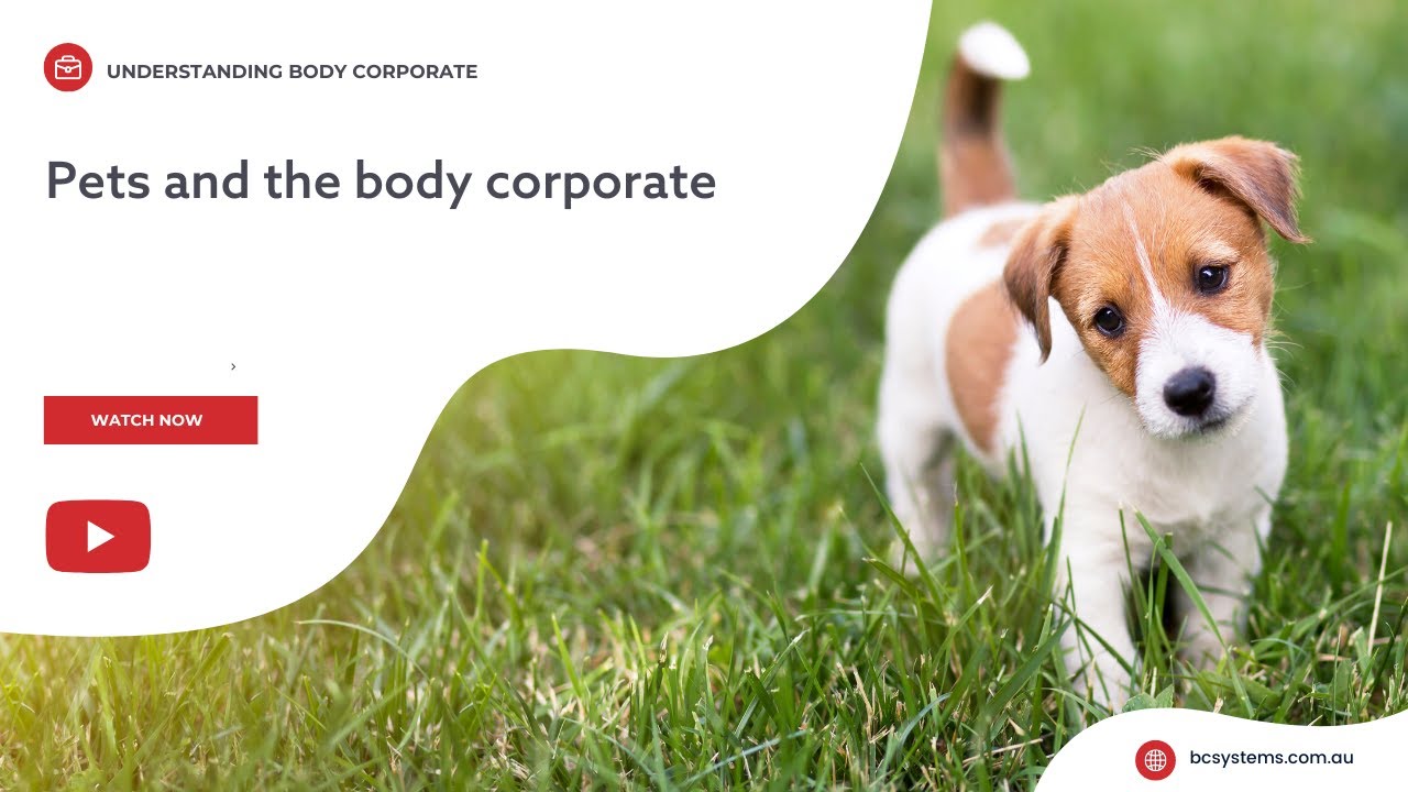 Pets and the body corporate