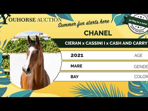 youtube preview