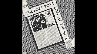 Soft Boys - Astronomy Domine (Floyd)