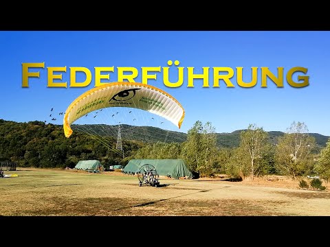 Wir leiten nun das Waldrapp-Projekt I Tiergarten Schönbrunn