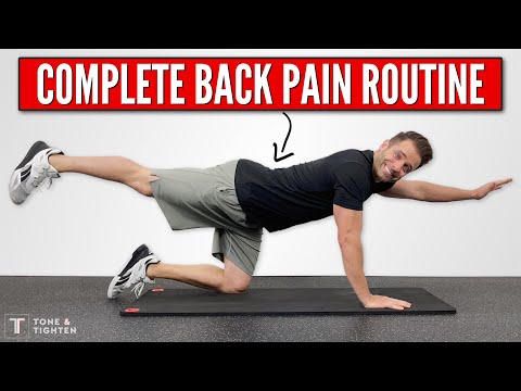 You Have To Try THIS! Home Exercise Routine For Low Back Pain Video