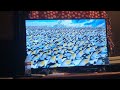 Happy Feet Movie Promo Disney XD 2022